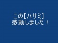 ☆ガーデニング用【はさみ】新商品です☆